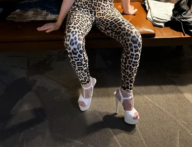 Leopard Print & White Pleasers ...