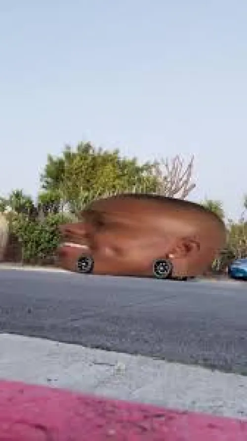 M4F I need pictures to beat my dick to