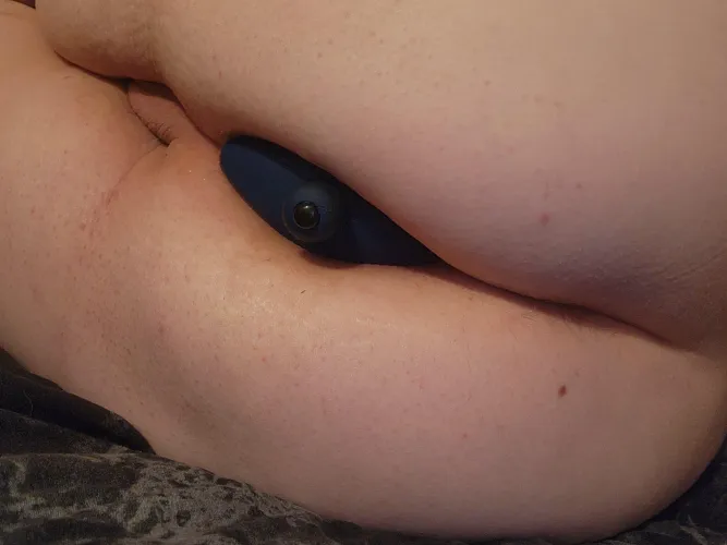 Are you a buttplug fan @defiledgoddess