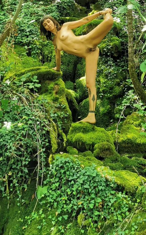 Deep in to the woods