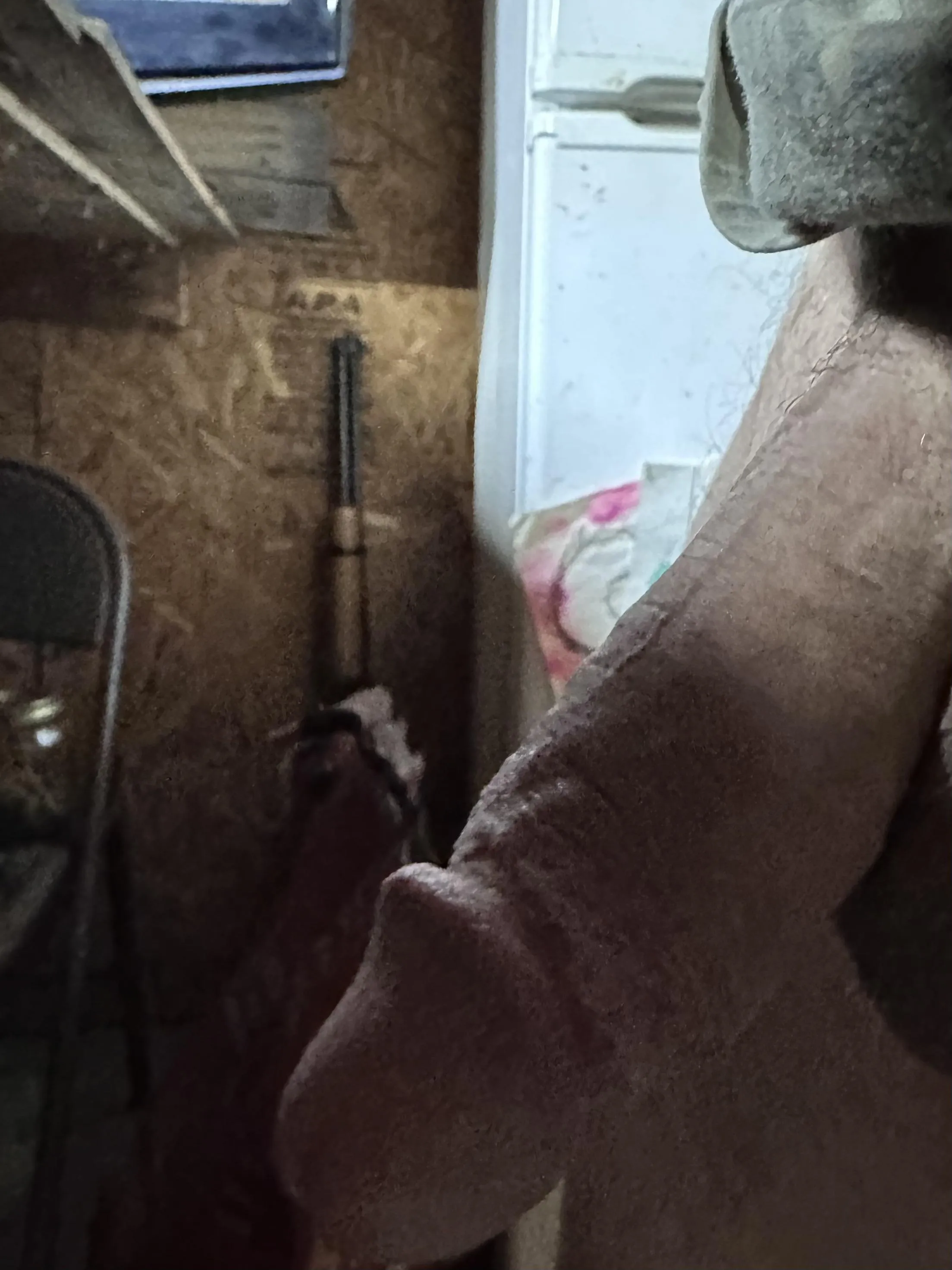 Lookin to make this day interesting