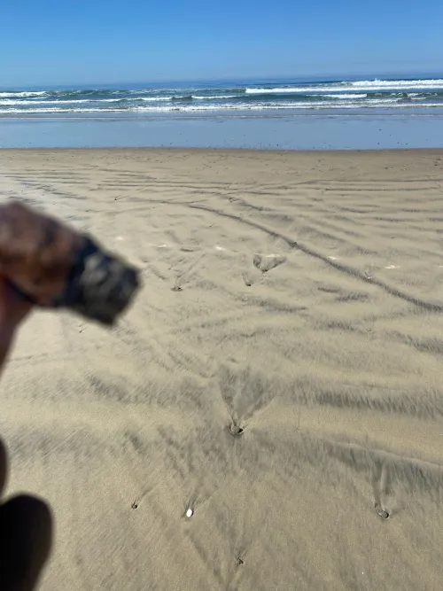 Lovely weather on a Sunday morning !