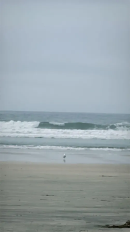 Not bad a little chilly