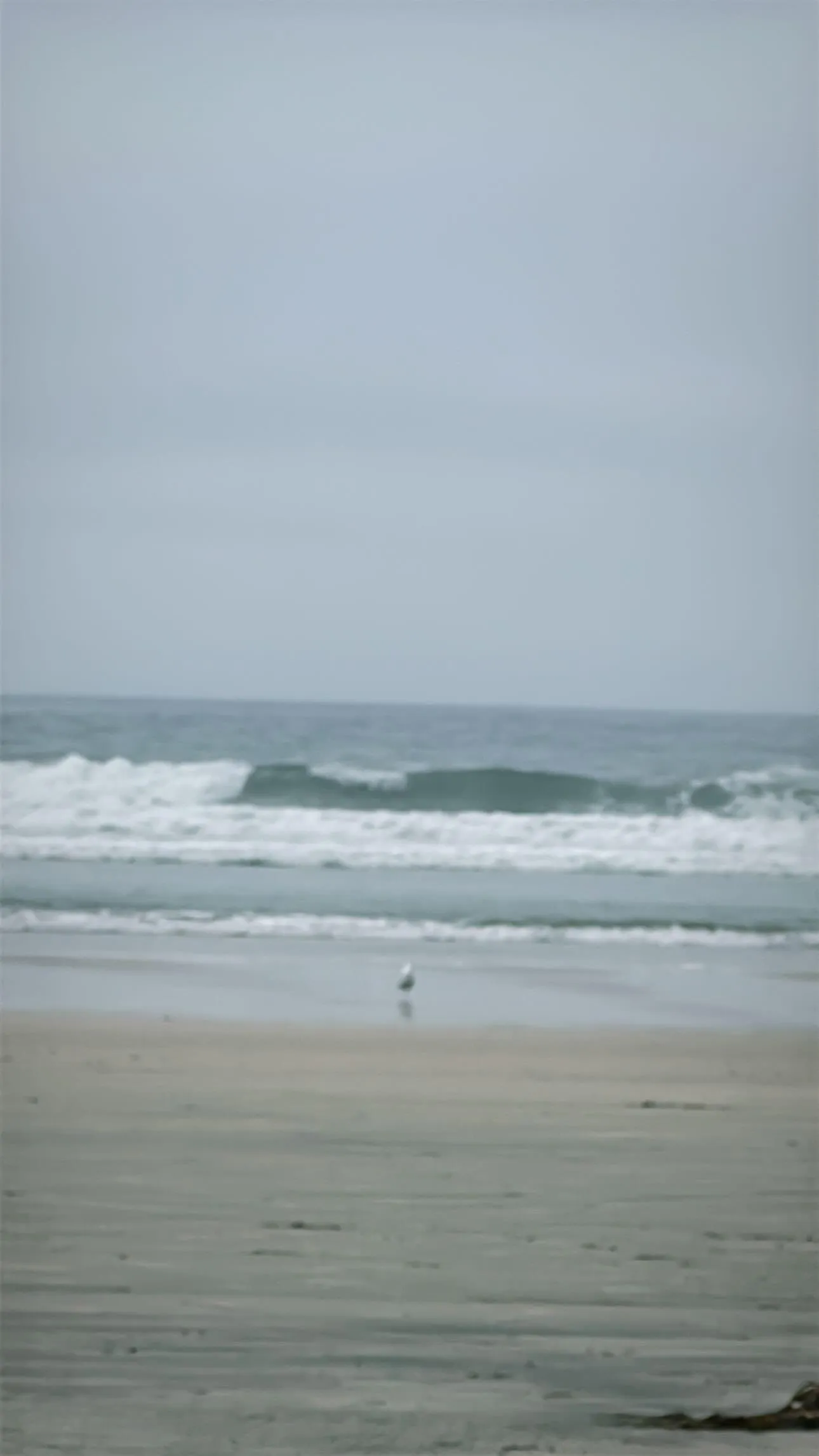 Not bad a little chilly