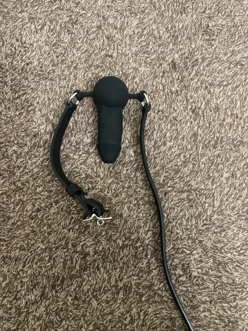 Penis gag arrived 🤭