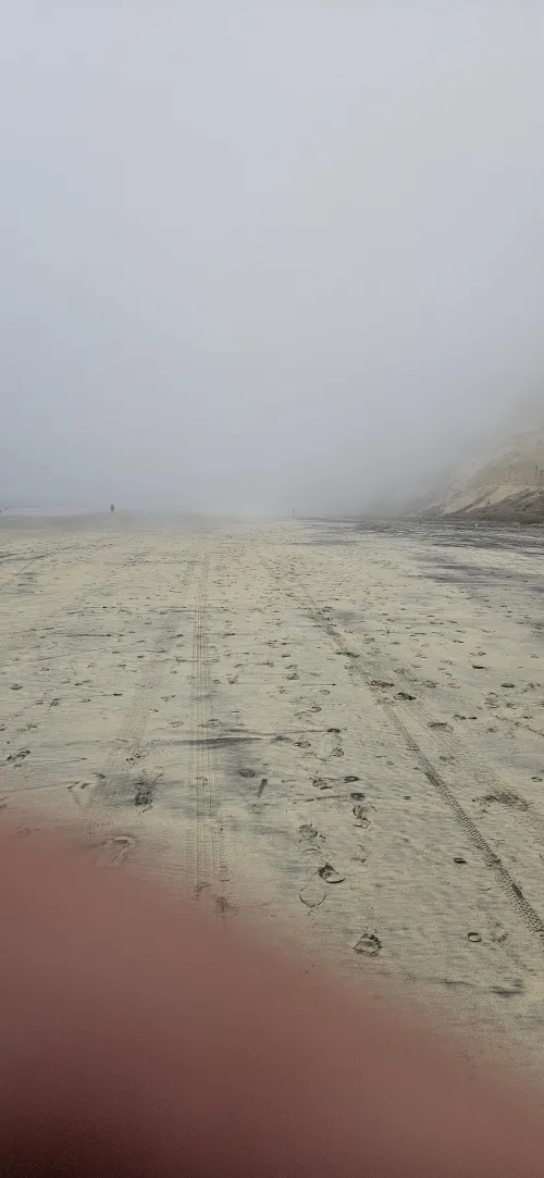 So foggy at the bottom