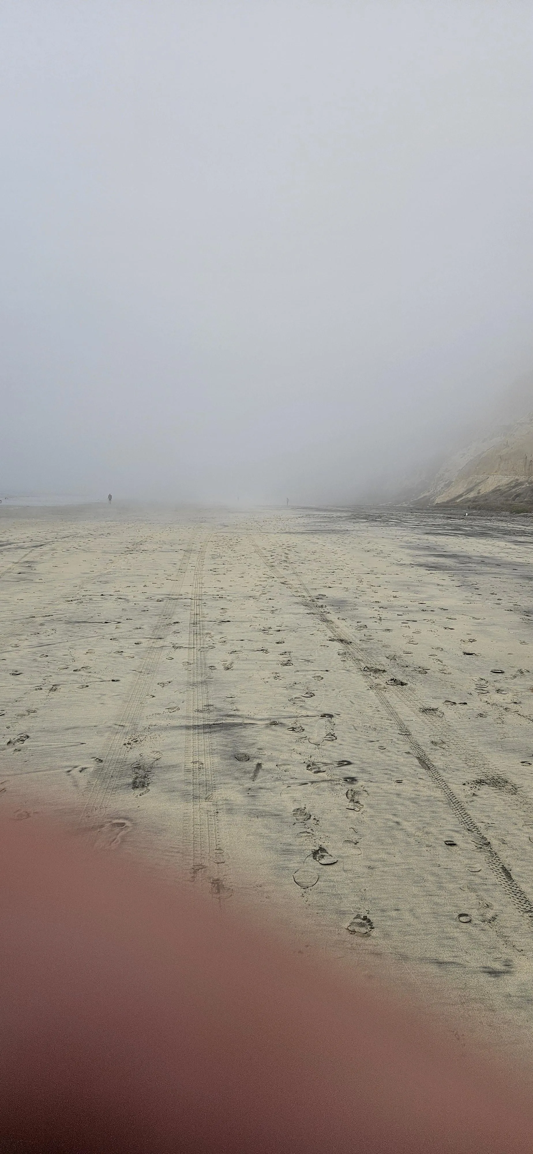 So foggy at the bottom