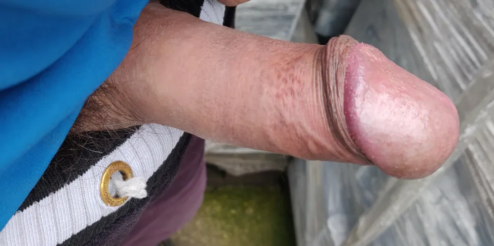 Cercasi ciucciacazzi