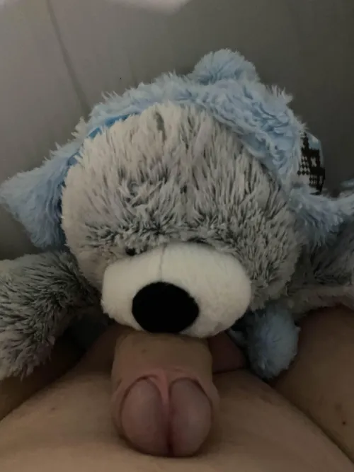 Decided to sit on a smaller boi today :3