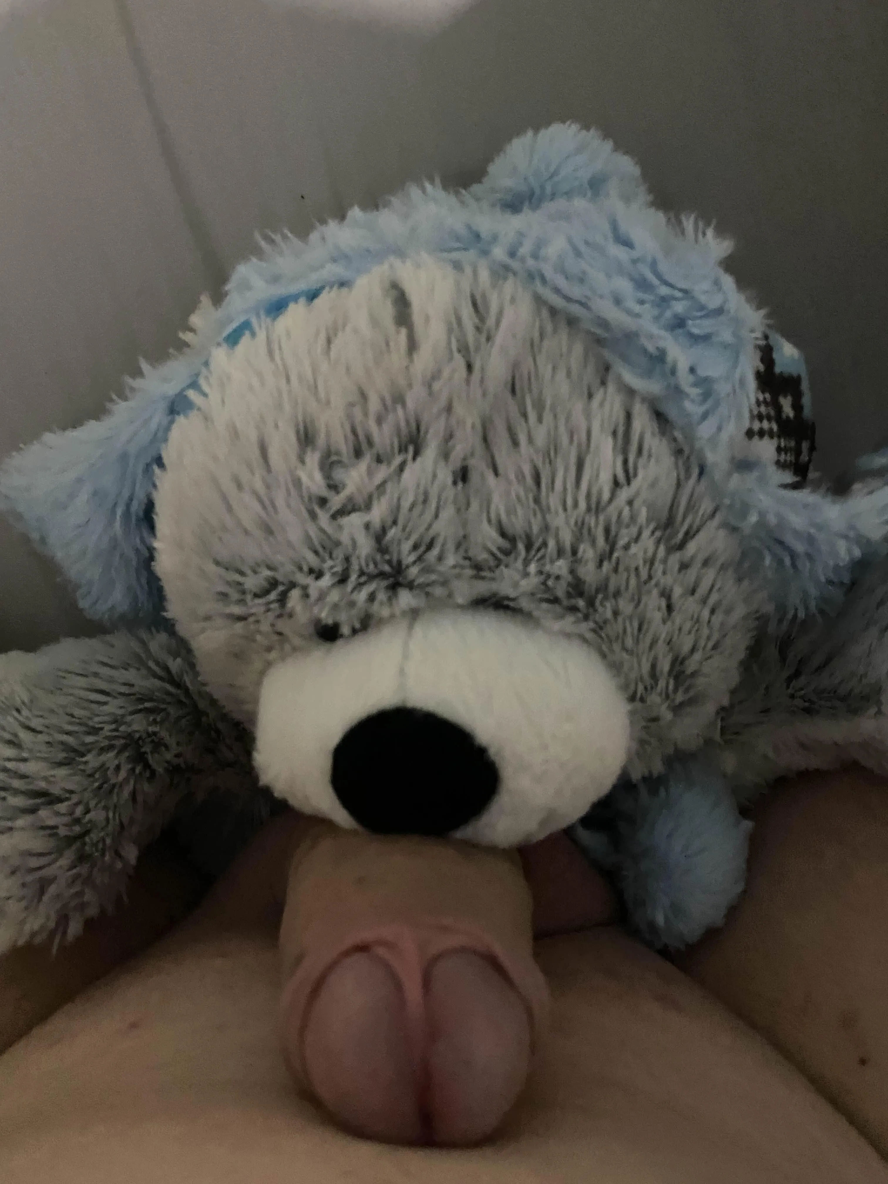 Decided to sit on a smaller boi today :3