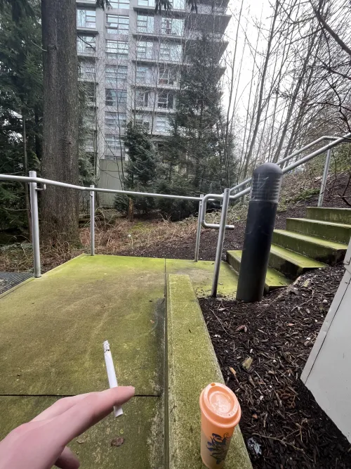 spring is starting to spring!