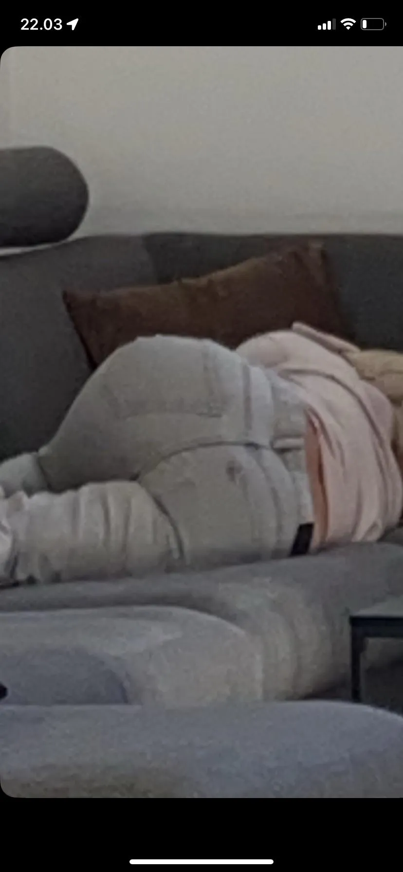 Stepsisters fat ass