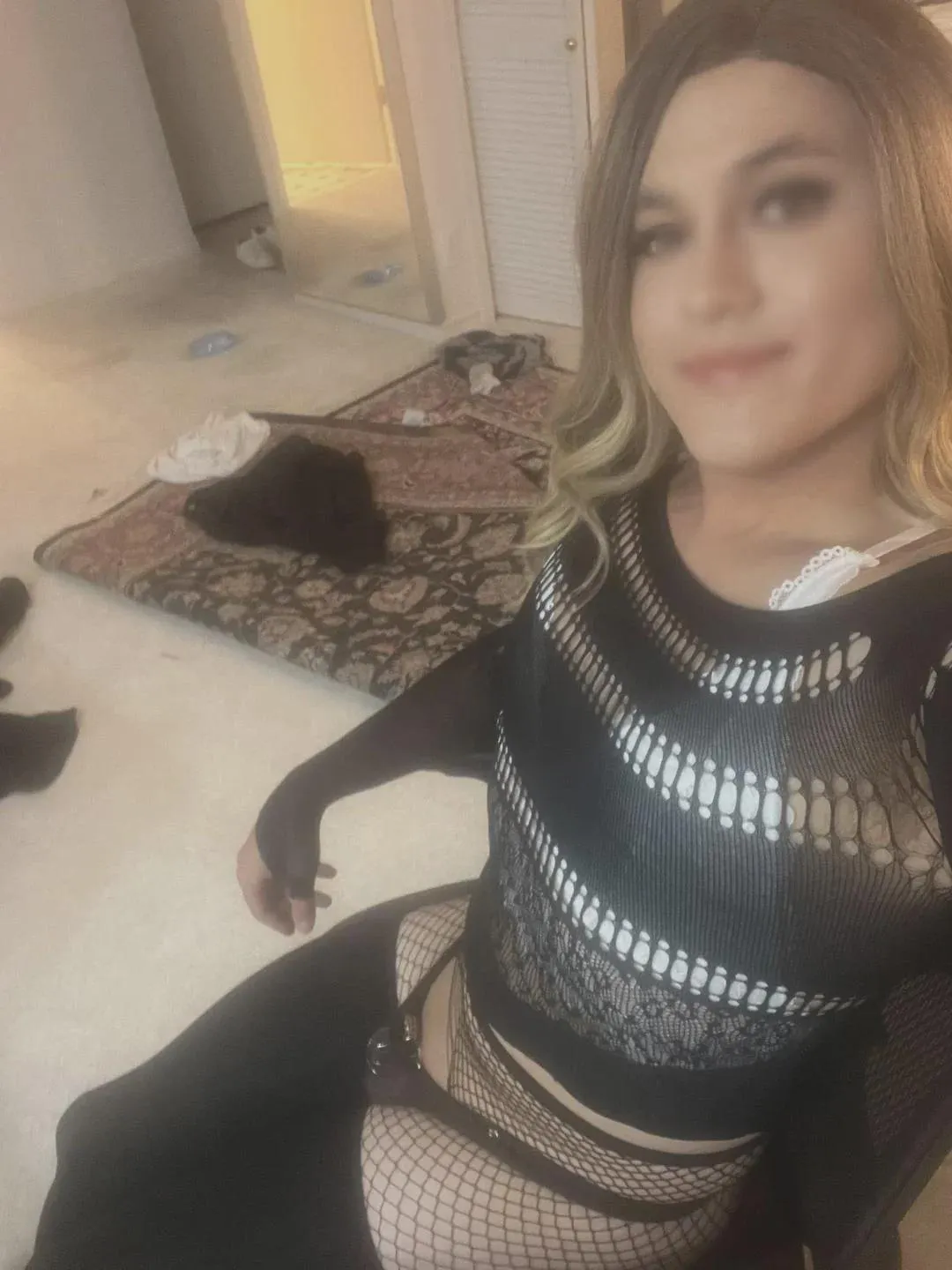 [USA] #Chicago 24, hoping to find a hung/tall long term owner, open to relocating!