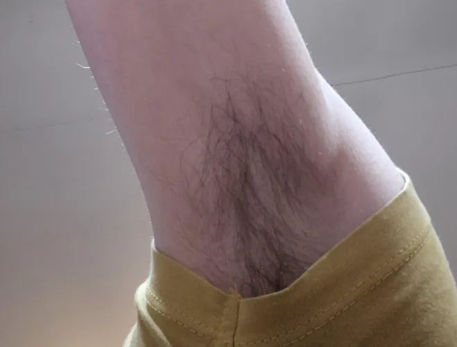 Will someone take care of my pits???