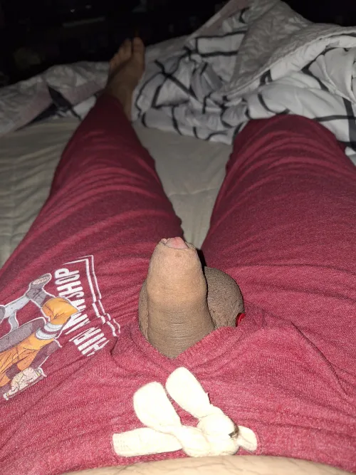 (26) suck me while I try to watch anime