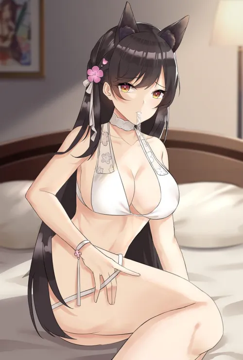 Atago getting ready for a night with you