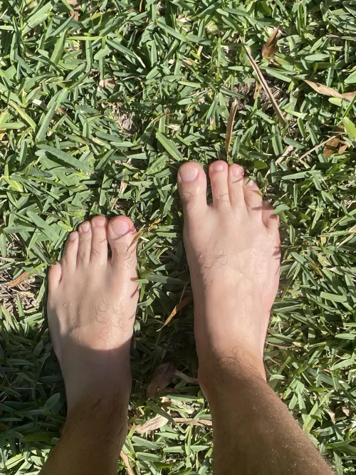 Go touch some grass ya sluts 😈