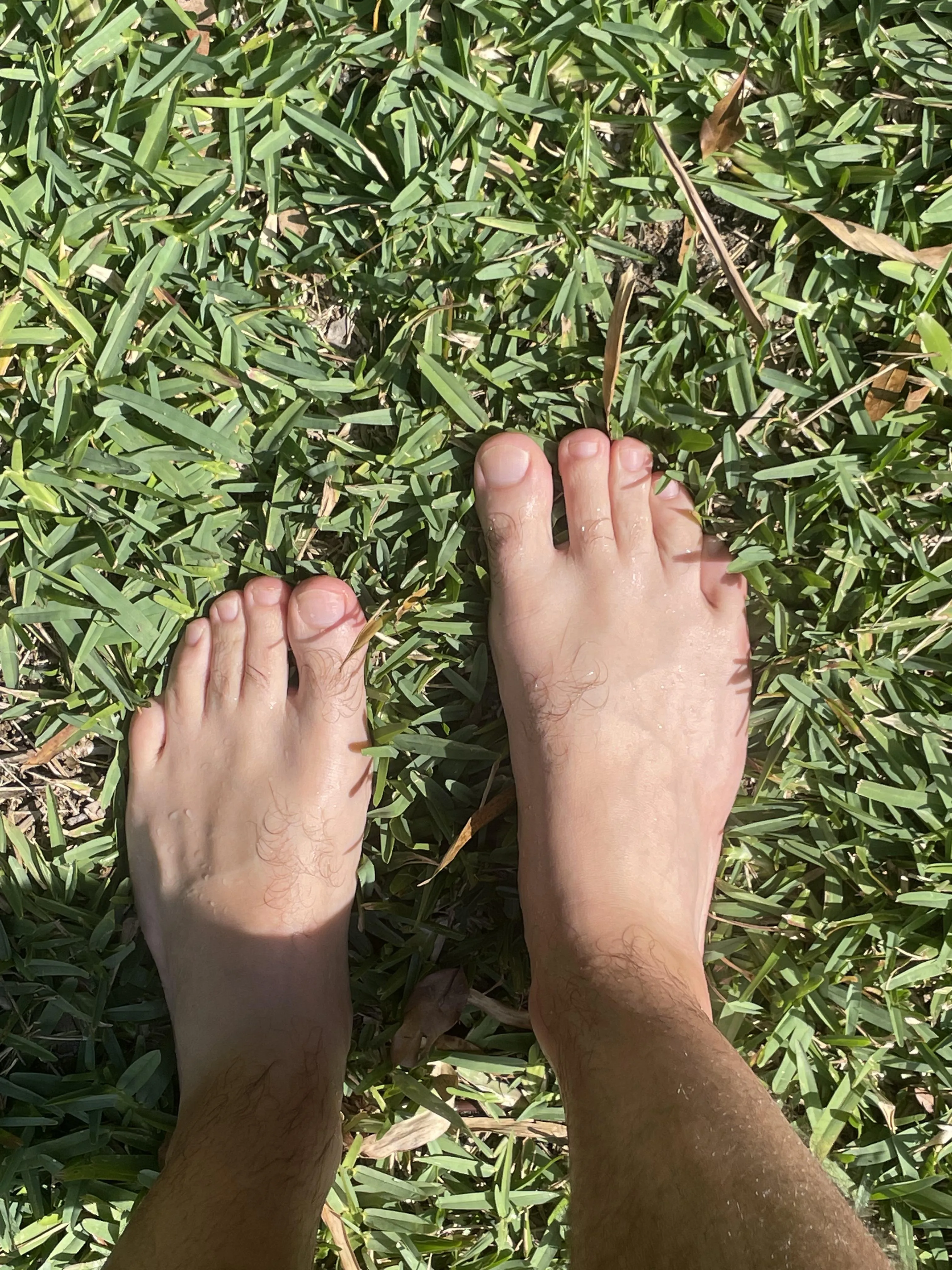 Go touch some grass ya sluts 😈