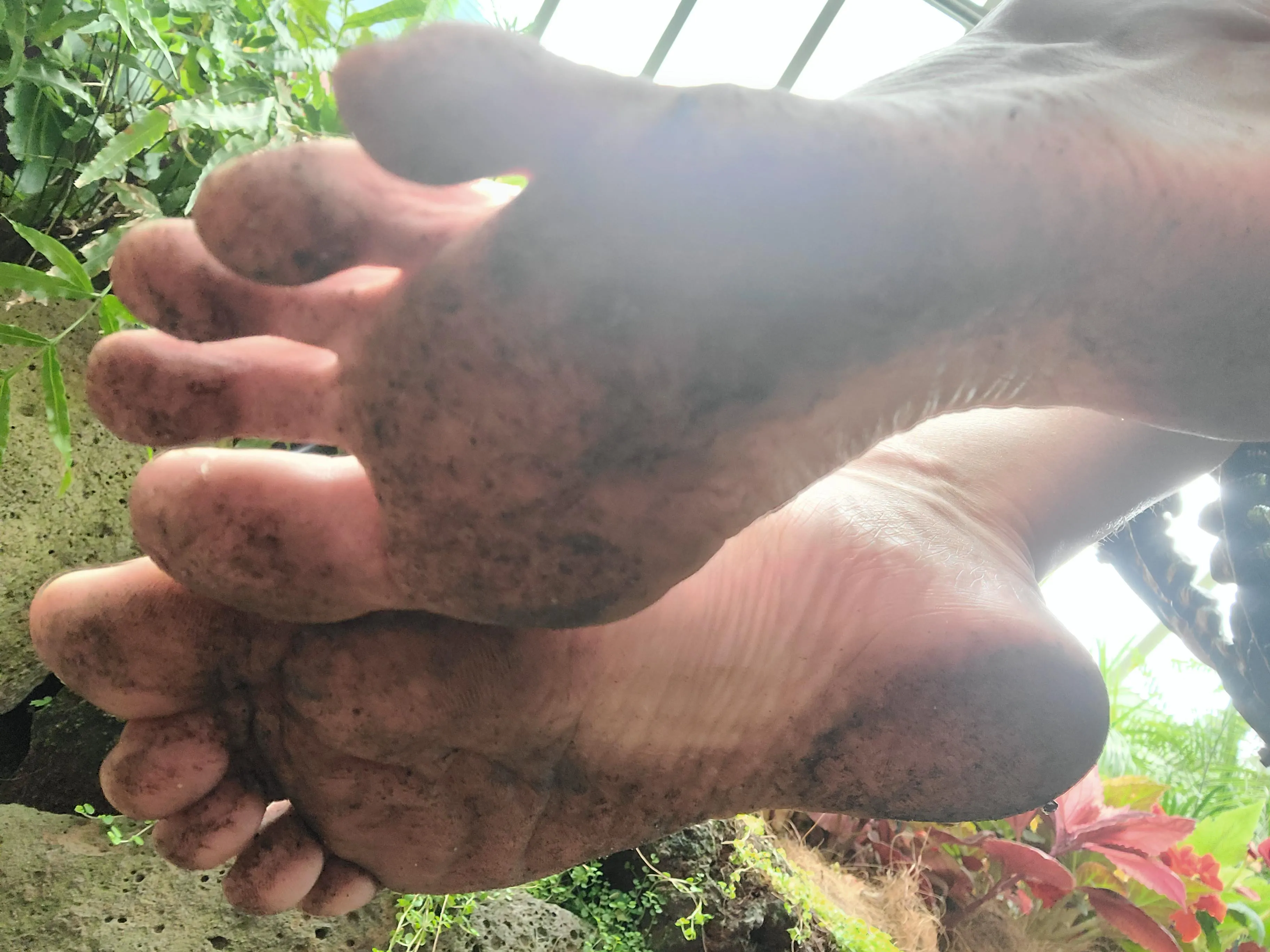 lick me clean, foot bitch.