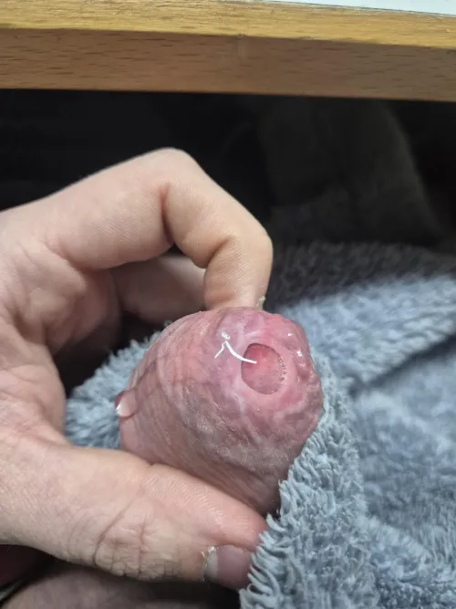 some precum.. need someone to leak it off 🍆💦