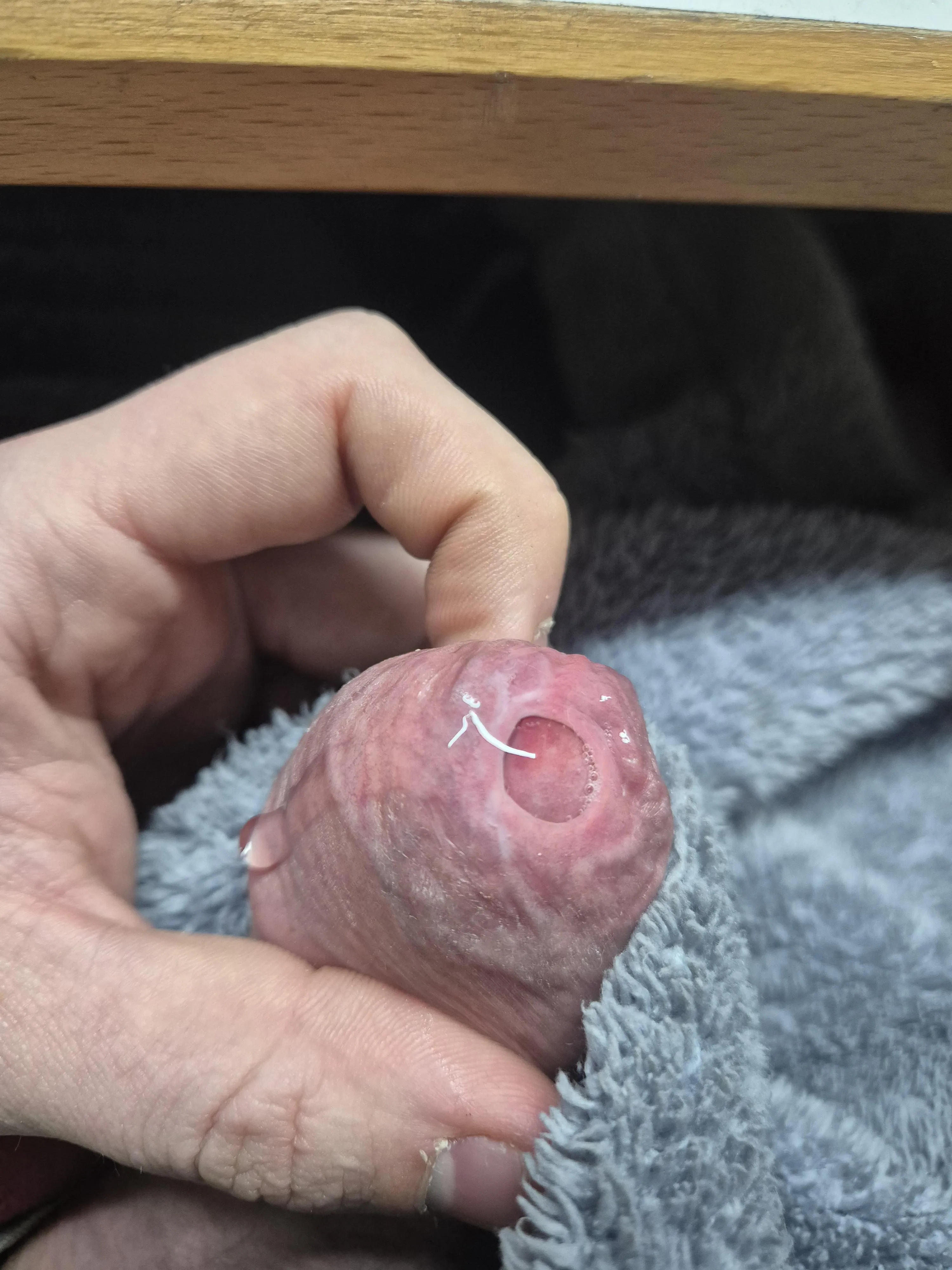 some precum.. need someone to leak it off 🍆💦