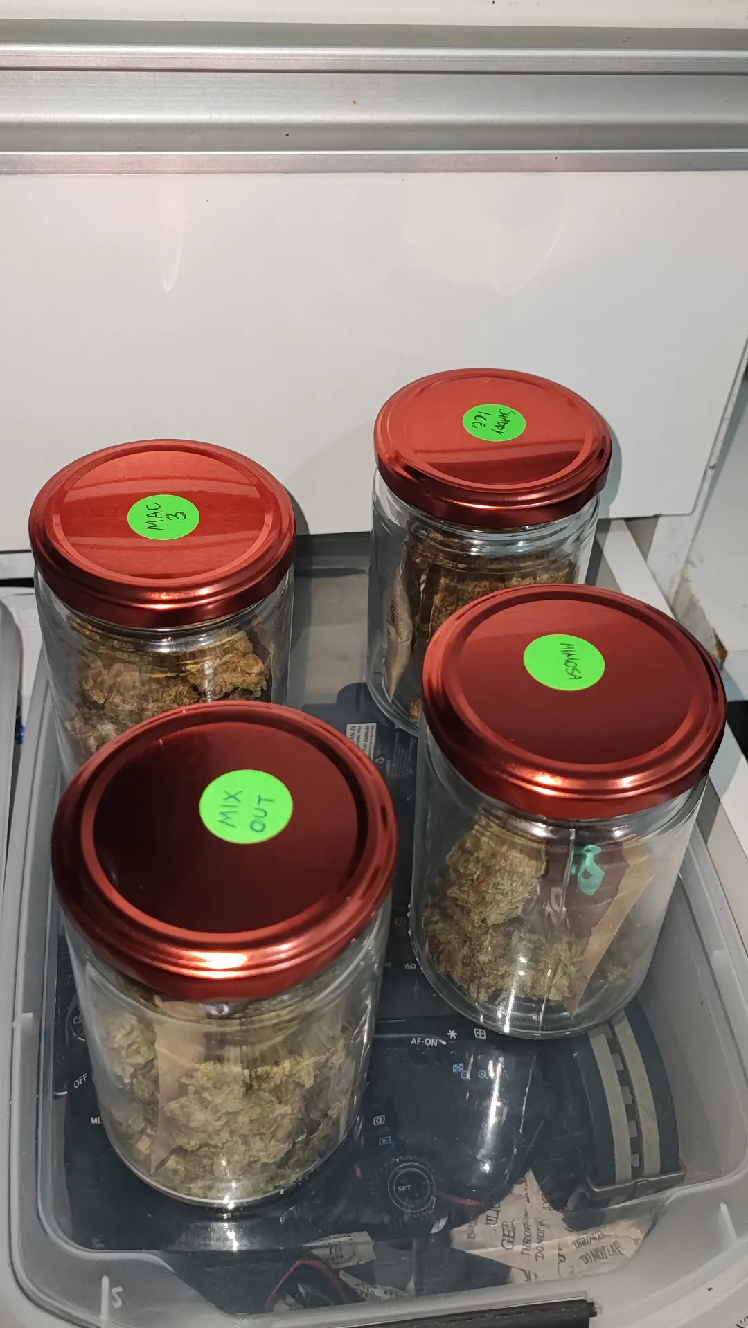 Aproveitando o carnaval para organizar a cota do mês!