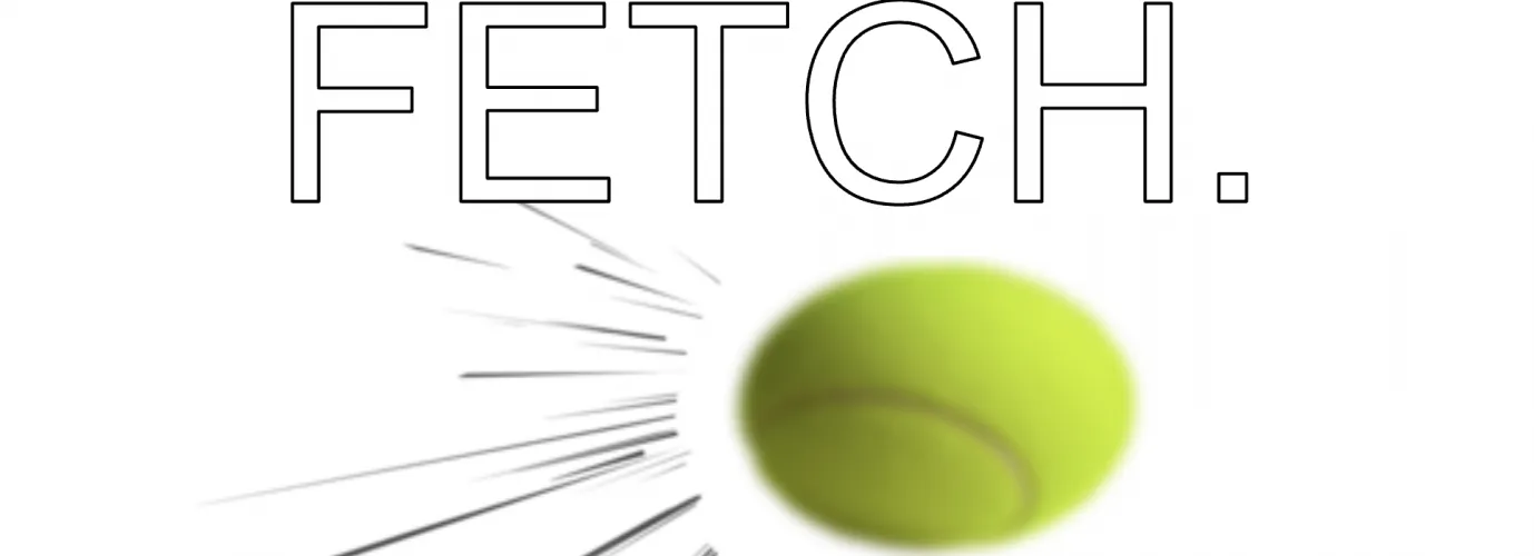 GO GET IT GET THE BALL