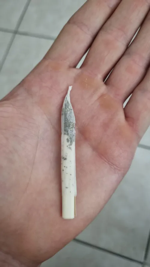 Meu primo bolou esse beck… O que acharam?