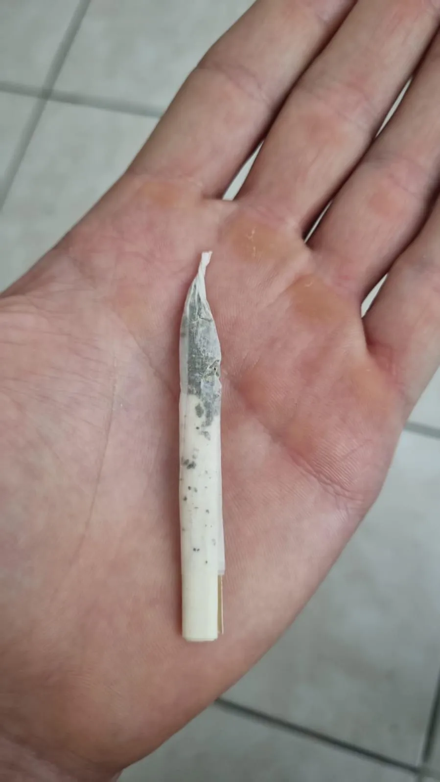 Meu primo bolou esse beck… O que acharam?