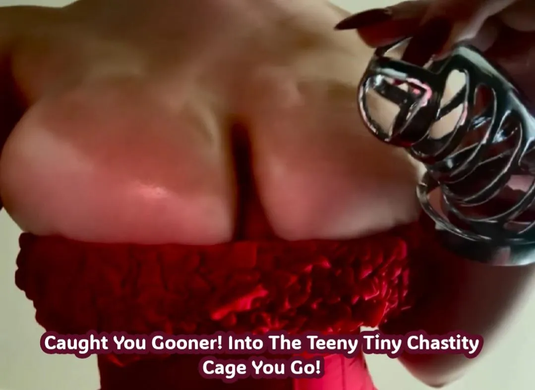 New game❗️❗️ If you look at my tits, you get locked 🔒 [No ImageFap]