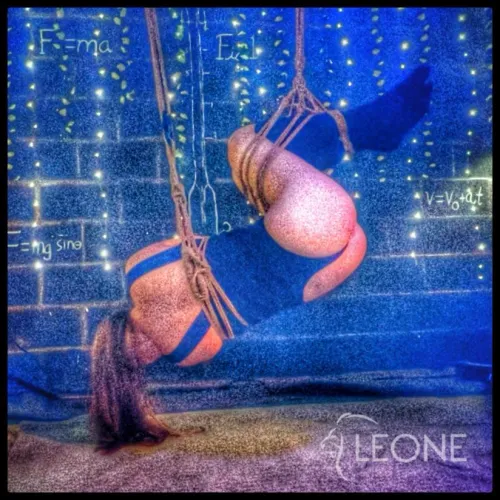 Suspended and Twisted