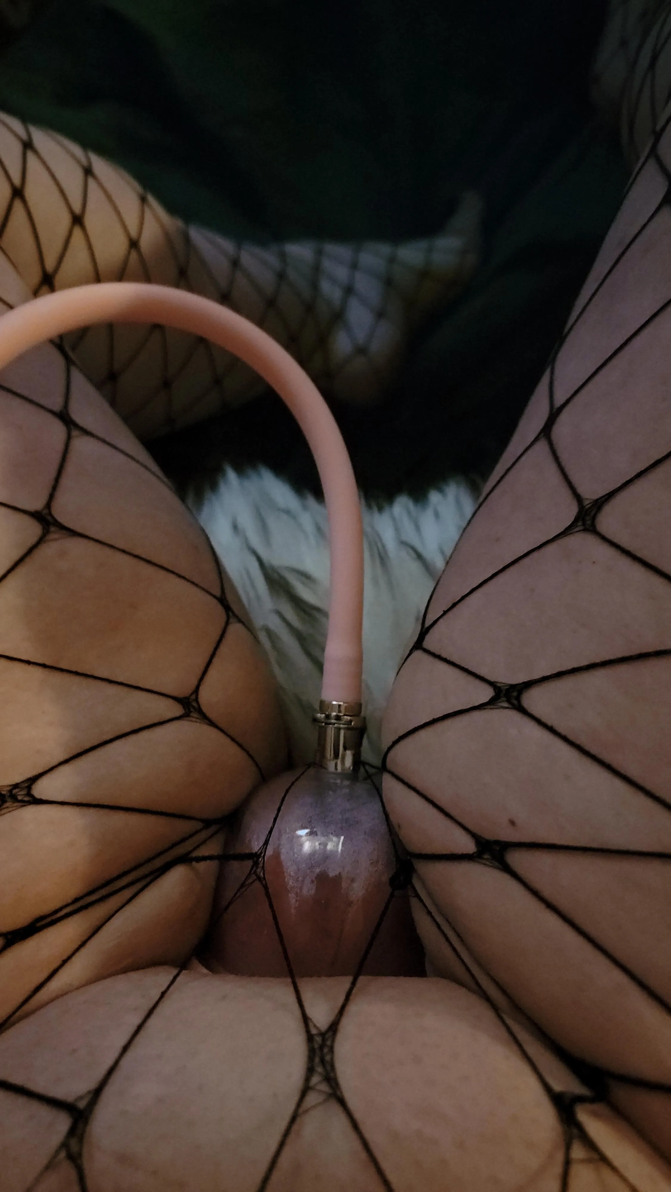 Sunday Night Session.