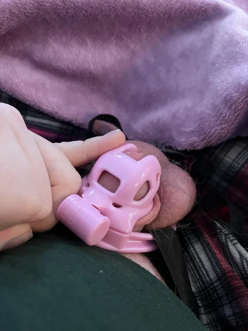 Day 1 of retrying! The flat cage was too much for me, so I made an investment!