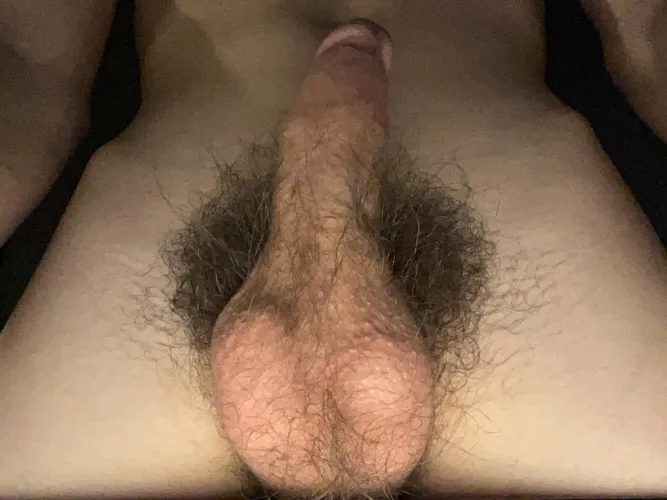 Heavy hairy dick