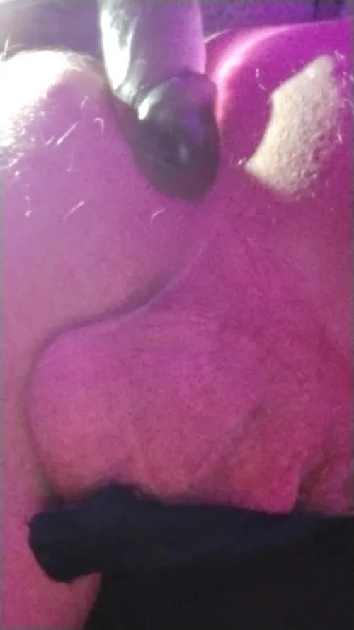 Love cocks in my ass when I do a shot