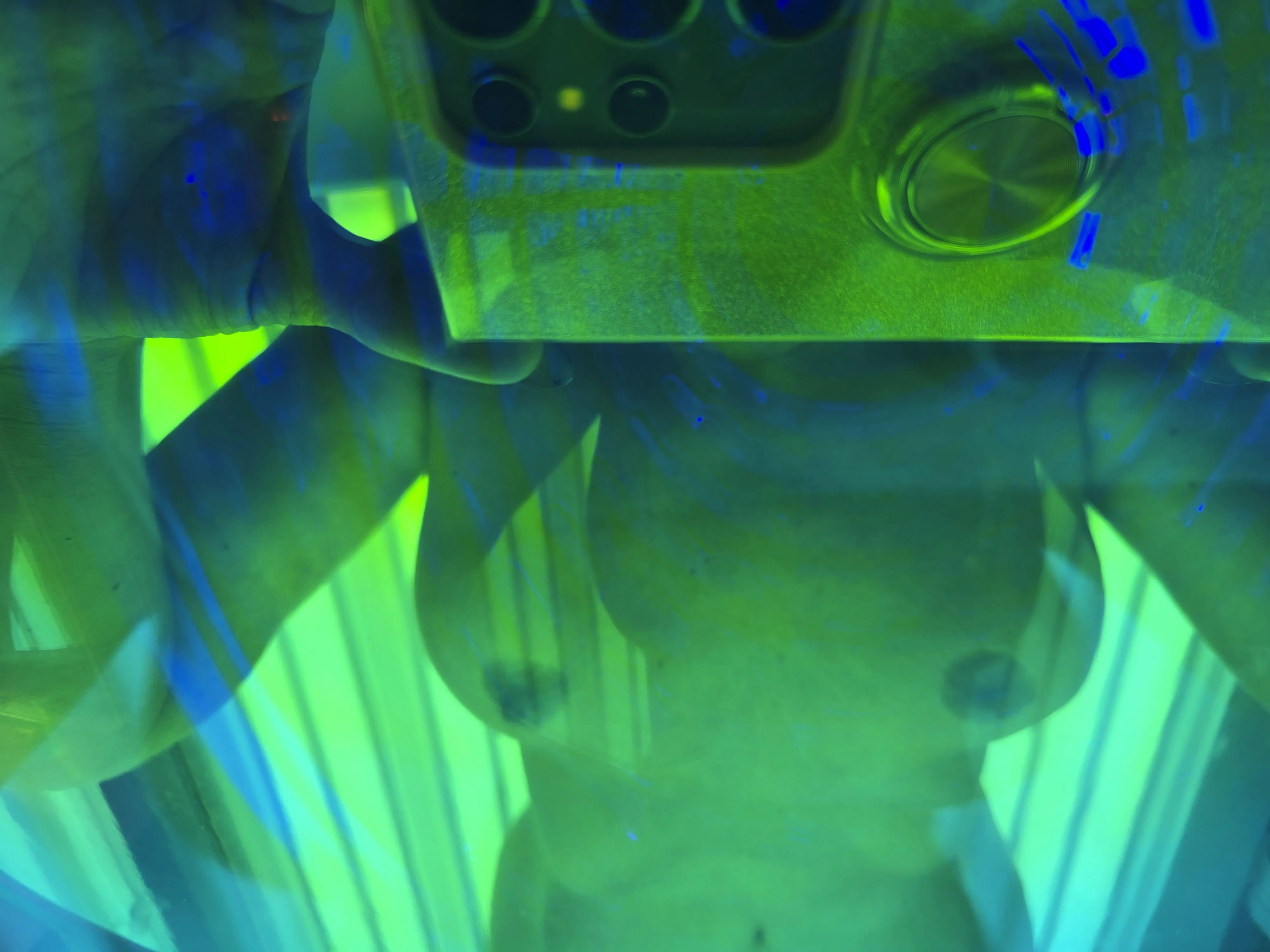 Need some UV after a long fun weekend