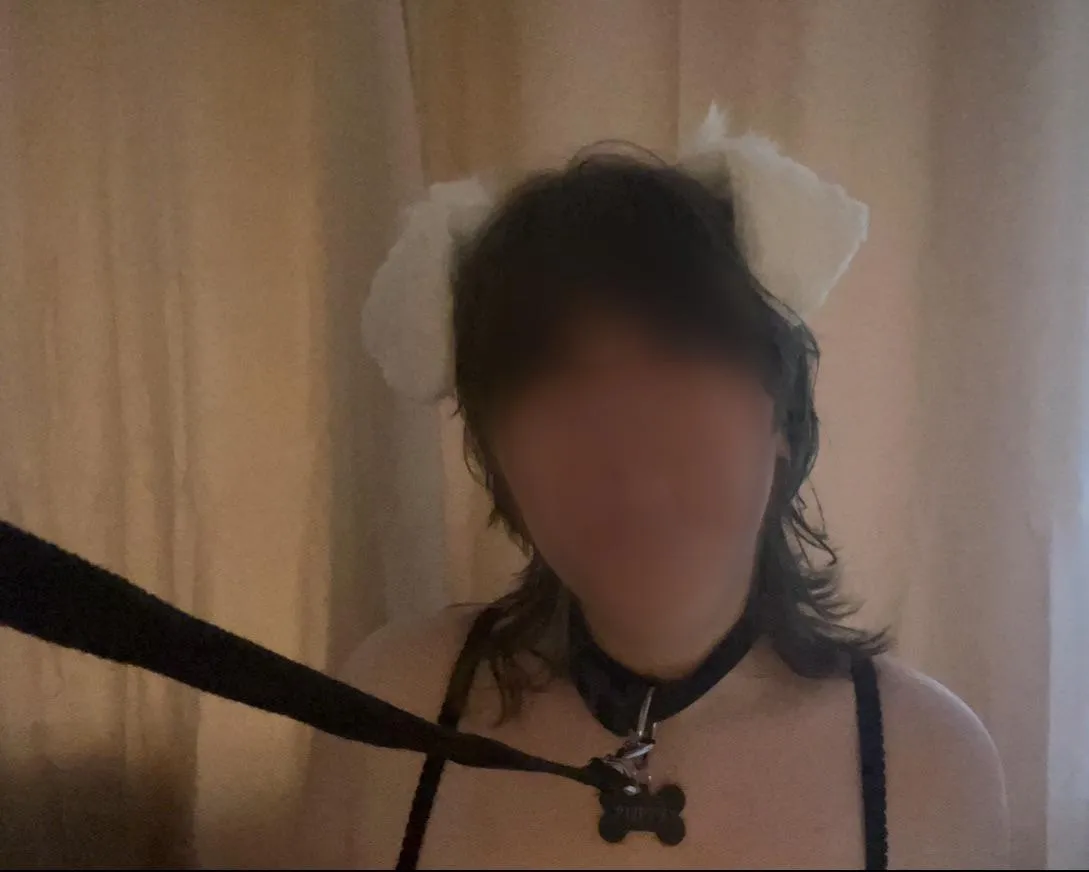 take puppy on a walk please?