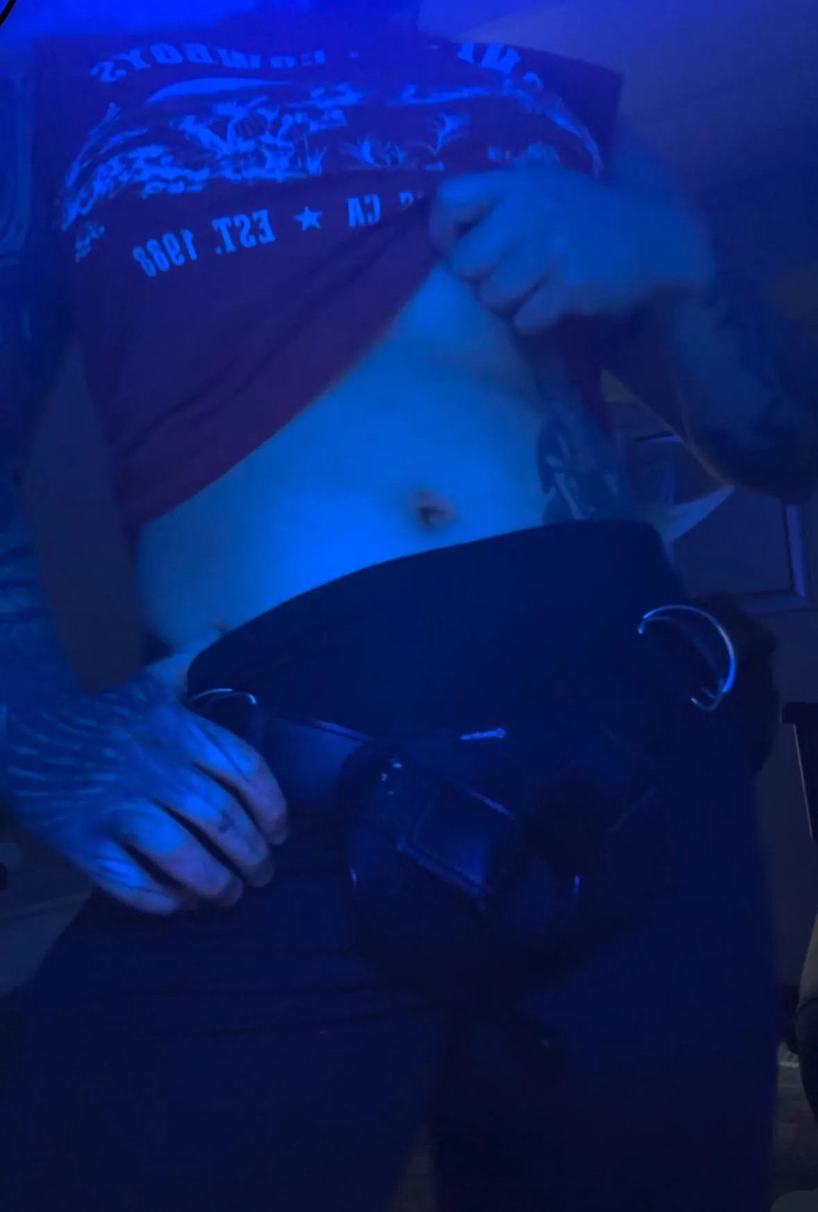 Tell me, what how many inches should I put into this harness?