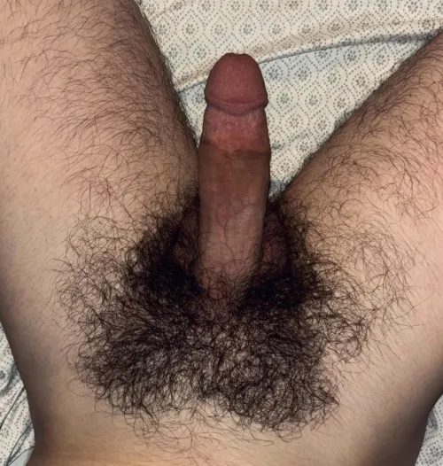 Thick 20 year old bush