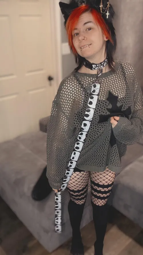 This pups ready for walkies!