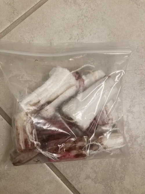 Weeks worth of used tampons! (11 total)~ [Selling] used items, digital, and vials