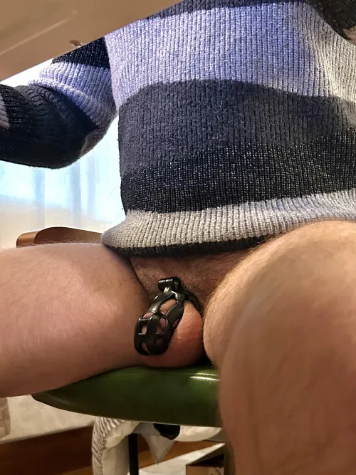 Locked up and locked in, no distractions today