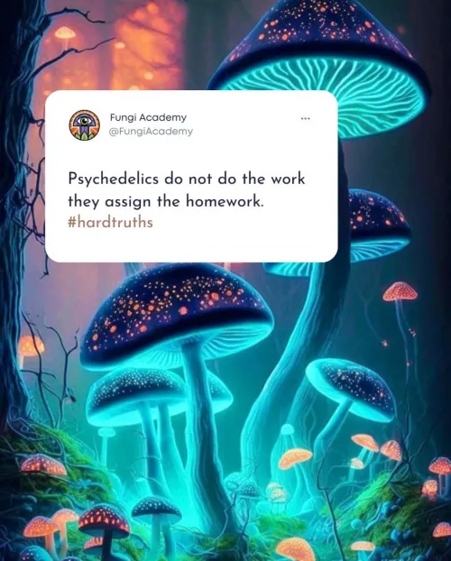 Psychedelics do not do the work, they assign the homework