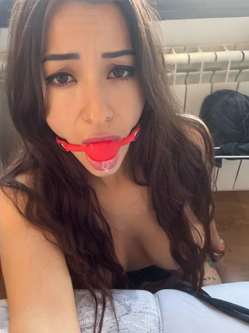 Do you like more drool or ballgag