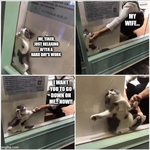 Having a dommy mommy wife be like... [OC]