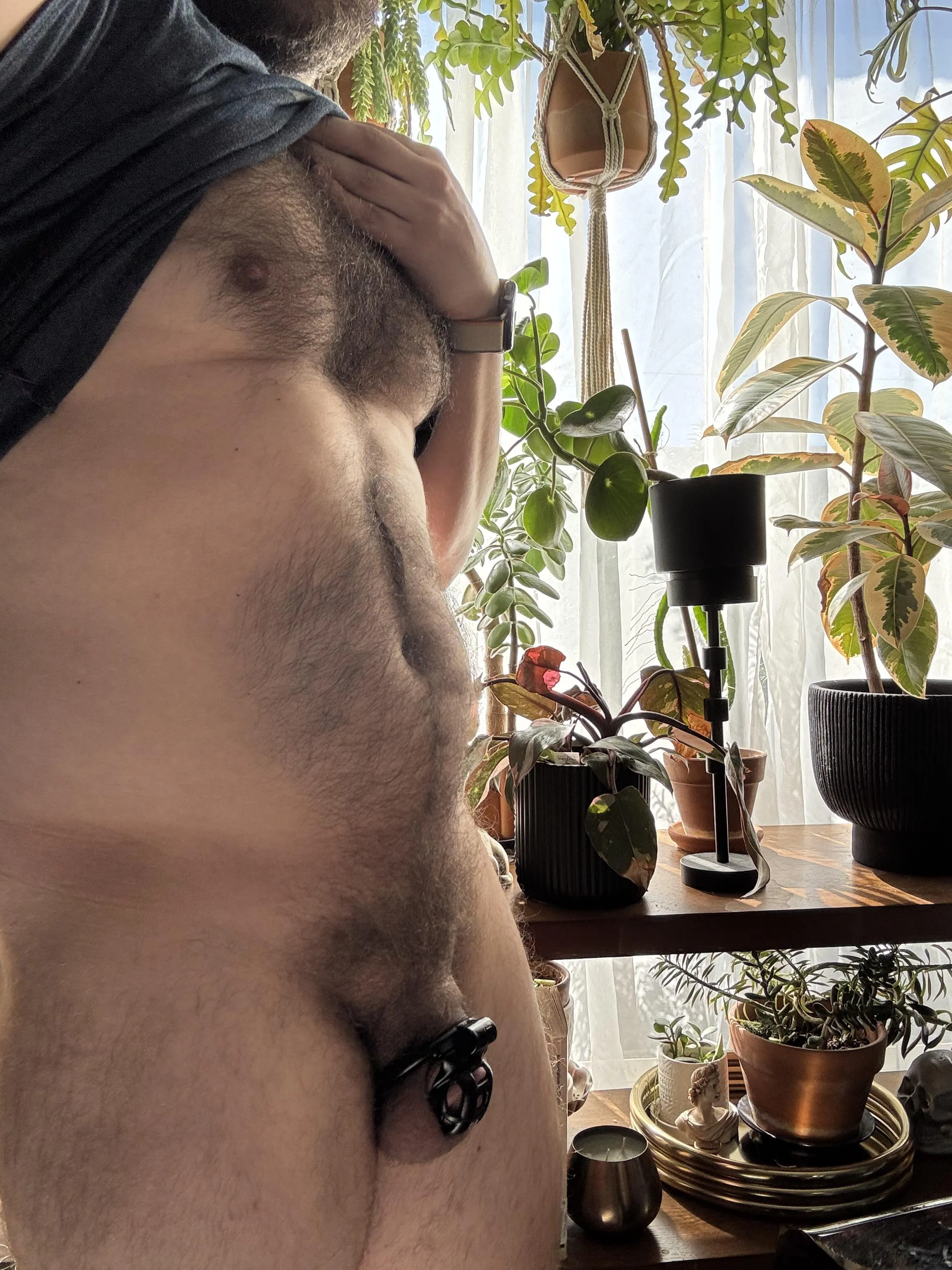 Plants get room to grow, but not me