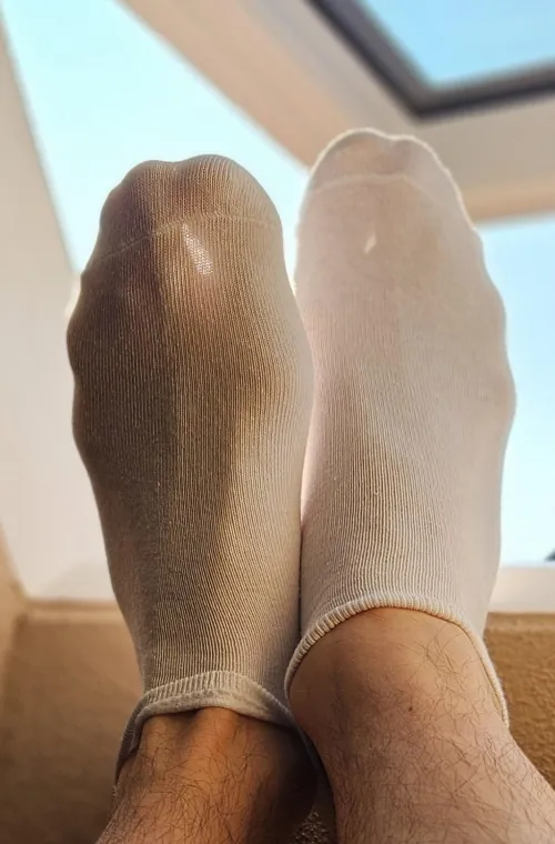 white socks sun Wednesday(38)