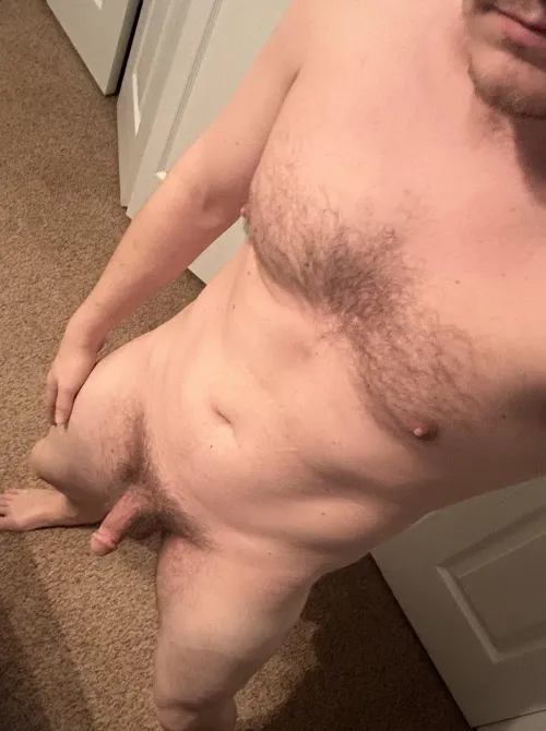 I say small, others say average. What say you?