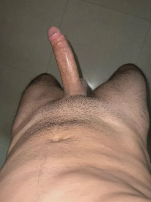 Manitini yorumlatacak veya sunacaklar?