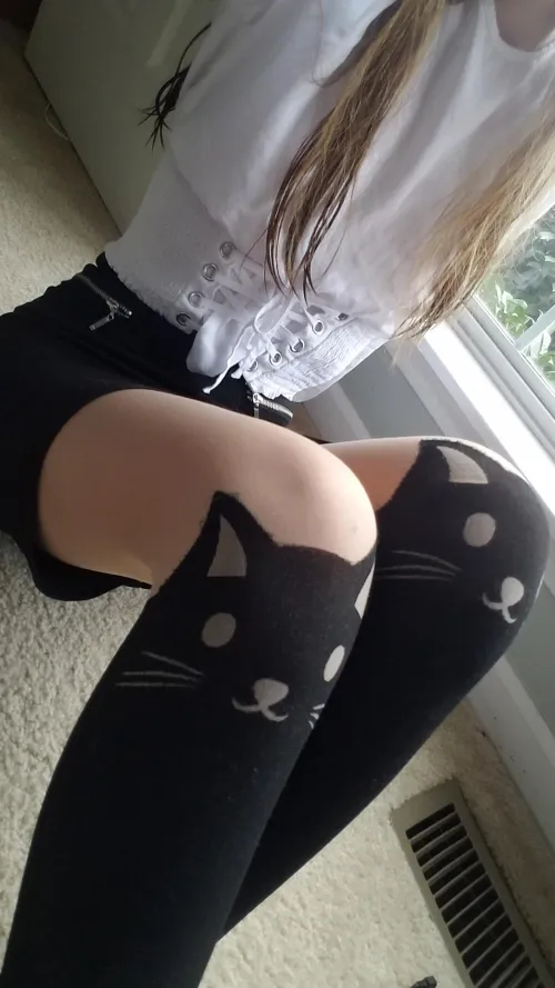 What do you think of my tights?